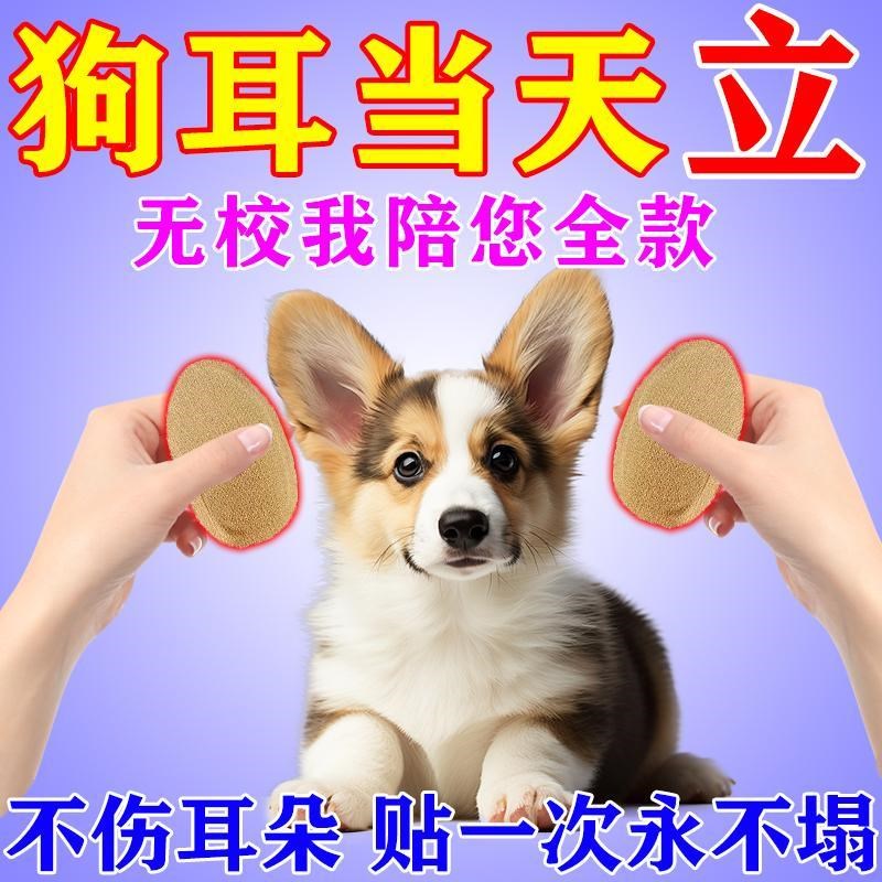 西高地立耳贴狗狗立耳神器柯基德牧雪纳瑞耳朵固定器辅助胶带胶水