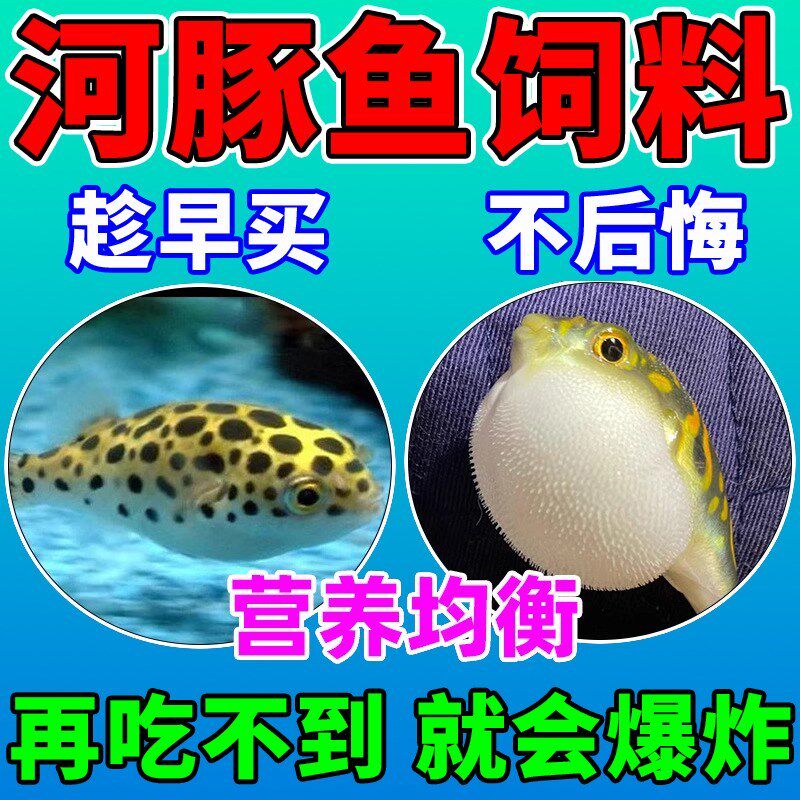 河豚鱼饲料巧克力娃娃鱼食专用狗头斑马潜水艇小型观赏鱼粮高蛋白