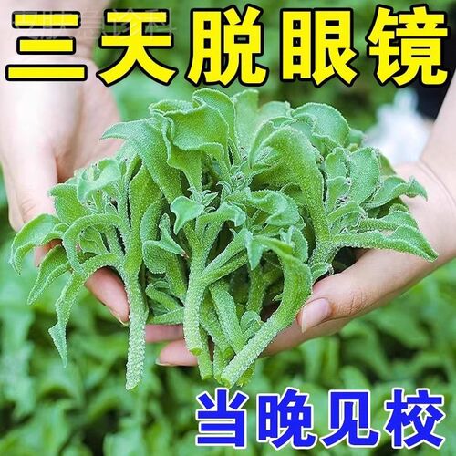 【10倍渗透冶视力】眼贴抗疲劳缓解眼干眼涩疲劳学生青少年护眼贴