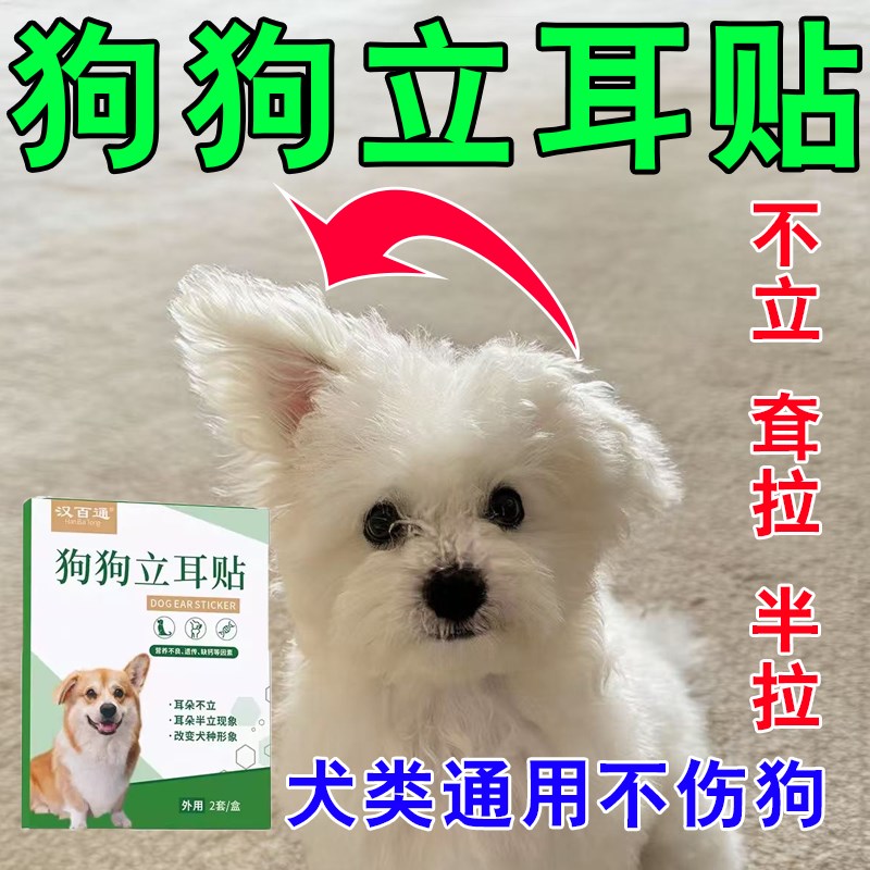 狗耳朵立耳器狗狗立耳幼犬小狗五黑杜宾立耳贴辅助耳朵固定器竖耳