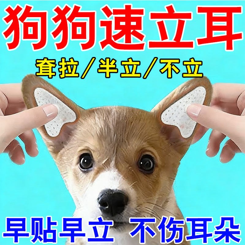 狗耳朵立耳器狗狗立耳幼犬小狗五黑杜宾立耳贴辅助耳朵固定器竖耳