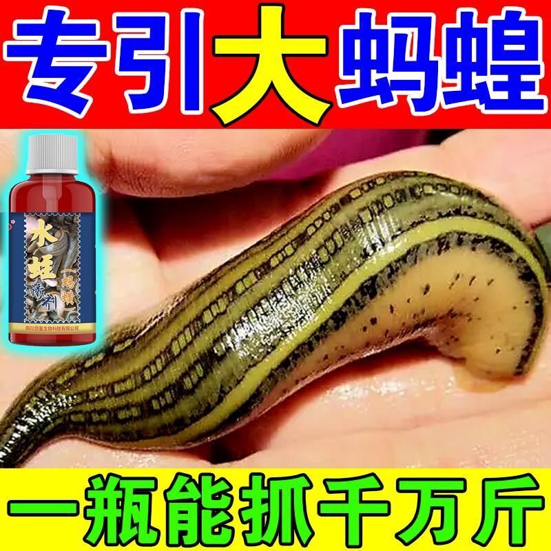 水蛭诱捕剂抓捕板捕捉器蚂蝗骇客小药抓蚂蝗捕水蛭神器蚂蟥诱捕器
