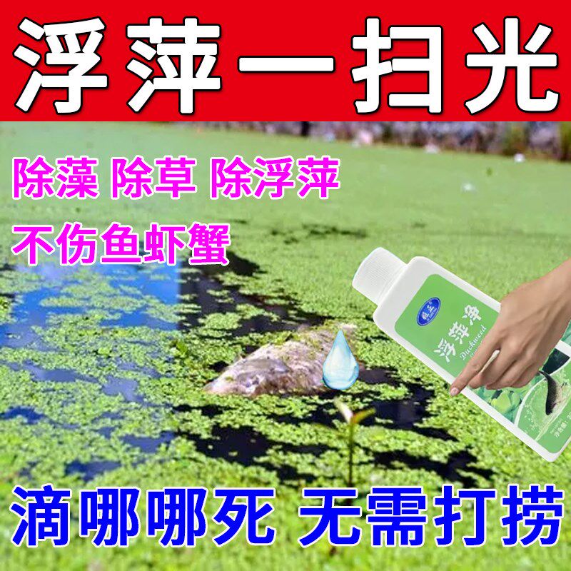 浮萍一扫光鱼池除藻去苔剂水产养殖除水草藻水花生净化水质清除剂
