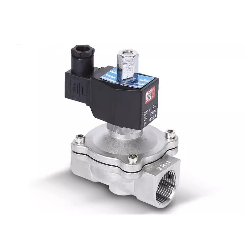 304分不锈钢丝2w常220v24v6水阀开式开关电磁阀dn15dn2阀气阀扣