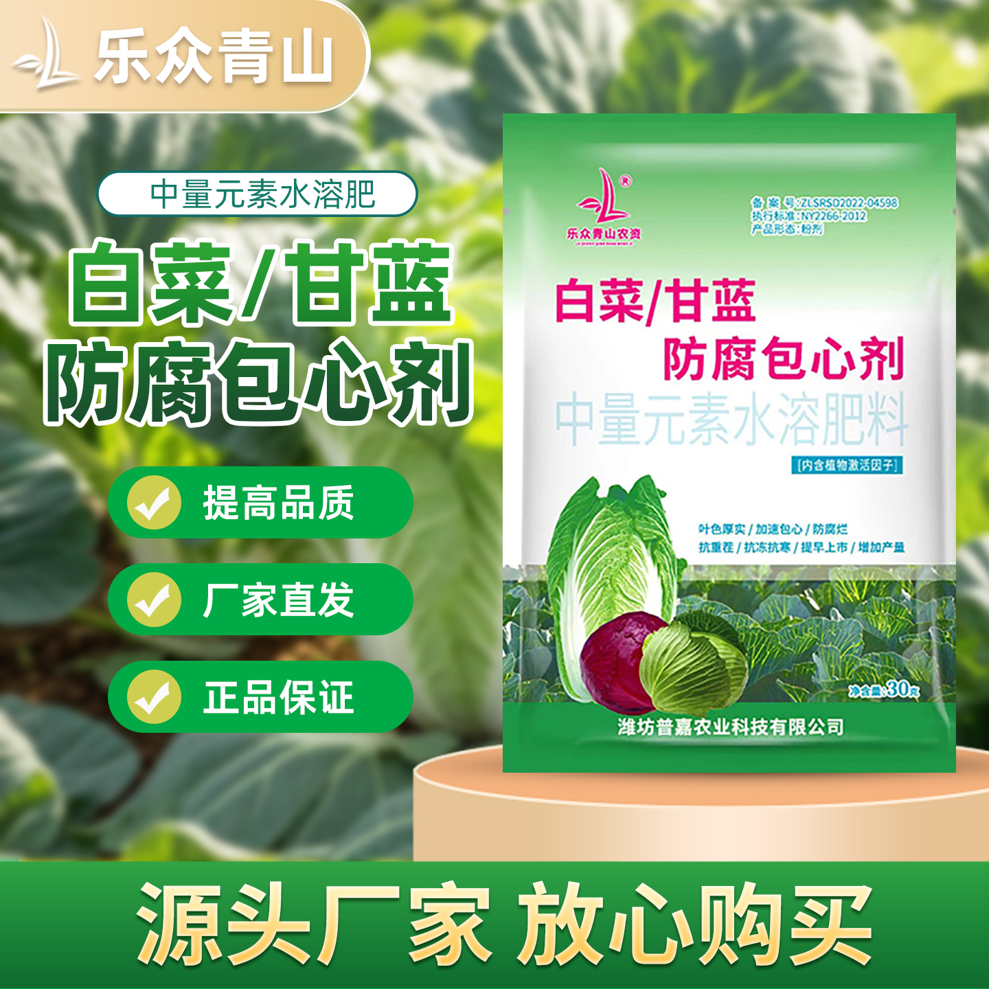 白菜防腐包心剂调节剂大白菜甘蓝包心花菜专用中量元素水溶叶面肥