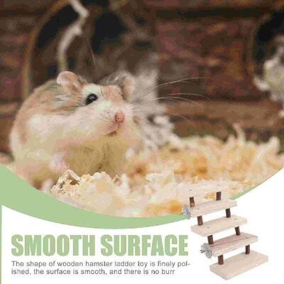 Hamster Climbing Ladder Chinchilla Training Cage