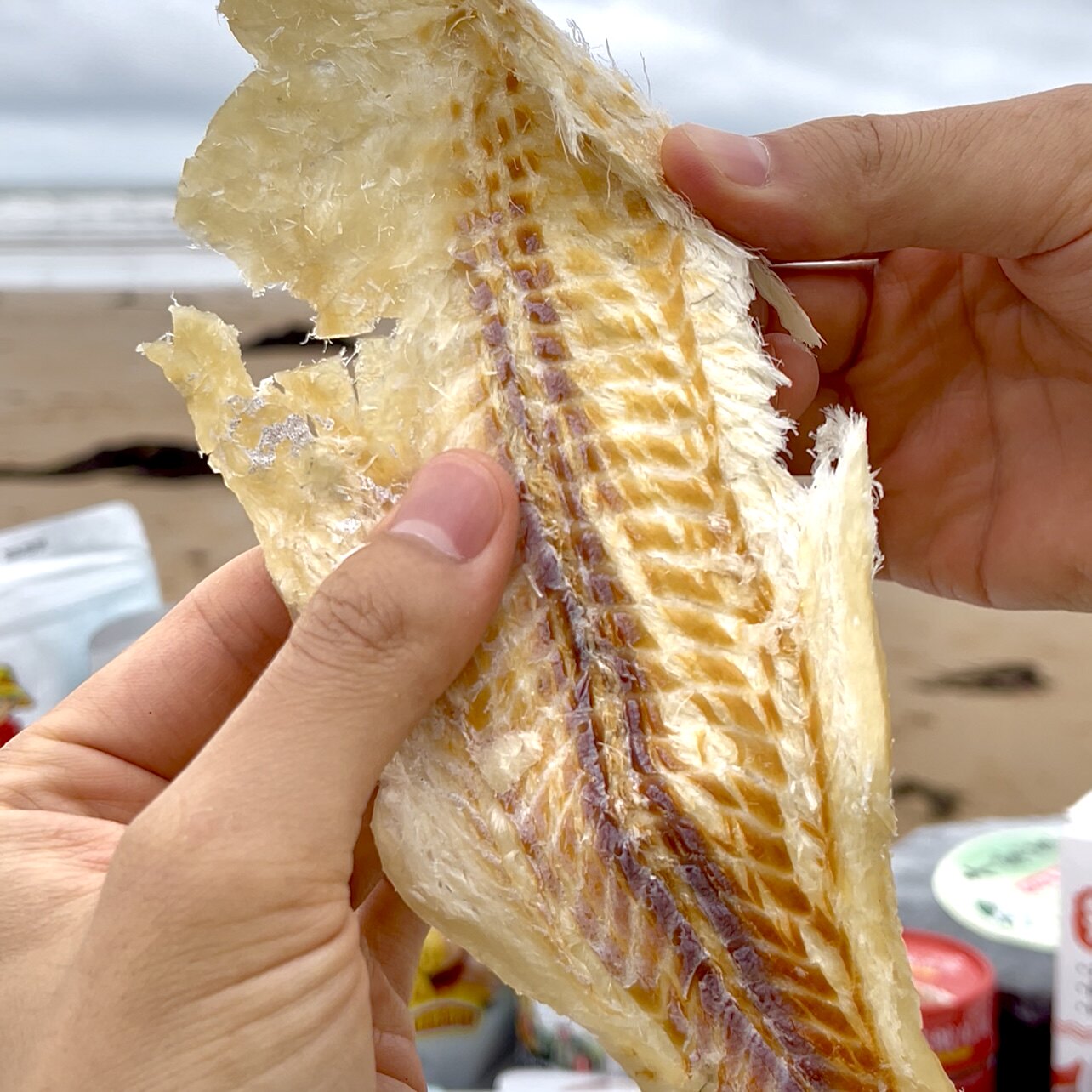 青岛特产烤鱼片孕妇健康零食即食鳕鱼片小吃休闲食品解馋海边人