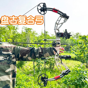 盘古复合弓雷瓦侬弓高端射箭套装滑轮弓竞技比赛射准弓套装复和弓