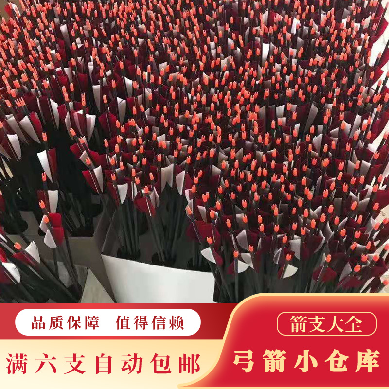 弓箭箭支射击反曲弓复合弓纯碳箭