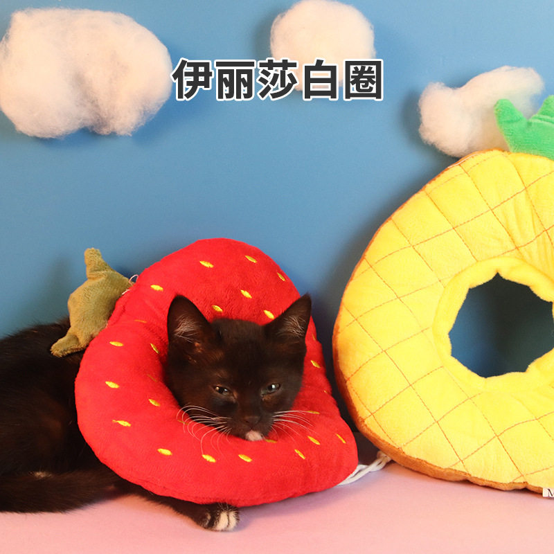 伊丽莎白圈现货脖子保护防抓防咬