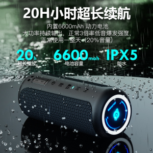 雷登X20蓝牙音箱低音炮大音量无线HIFI立体声手机车载家用户外防水德国便携式双喇叭3d环绕迷你可充电U盘音响