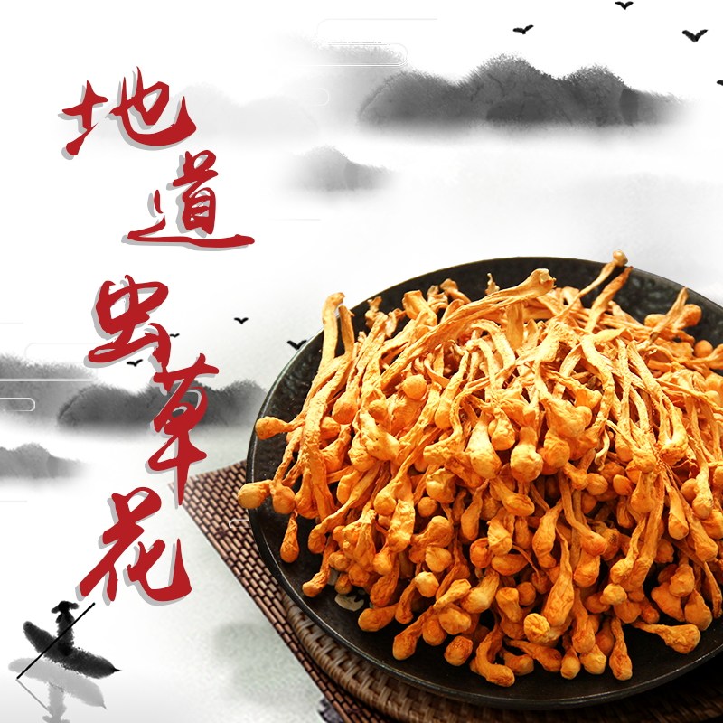 大条菌香浓郁 煲汤营养美味