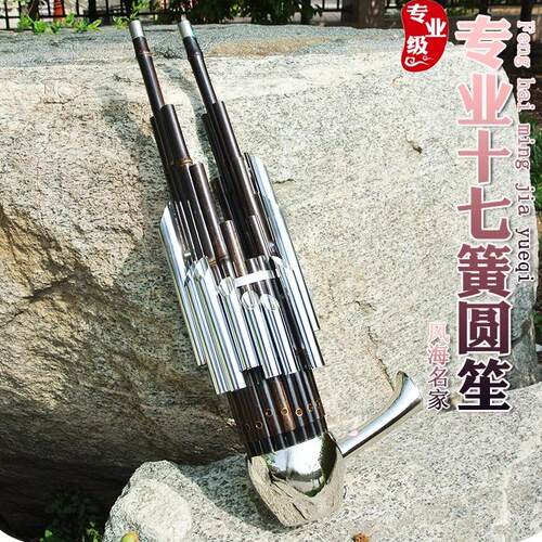 笙乐器初学者D调高音专业17簧扩音圆笙竹笙民间红白事降B调送笙包