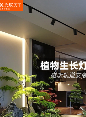光联天下 植物生长灯led全光谱磁吸轨道灯家用客厅绿植盆栽补光灯