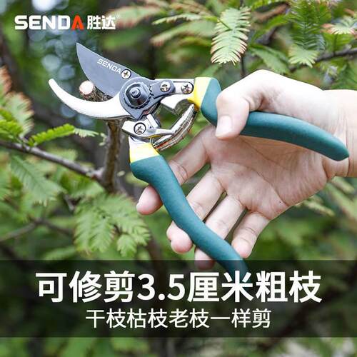 胜达园林园艺剪刀家用剪花枝修剪树枝剪刀果枝剪修花剪刀修枝剪刀