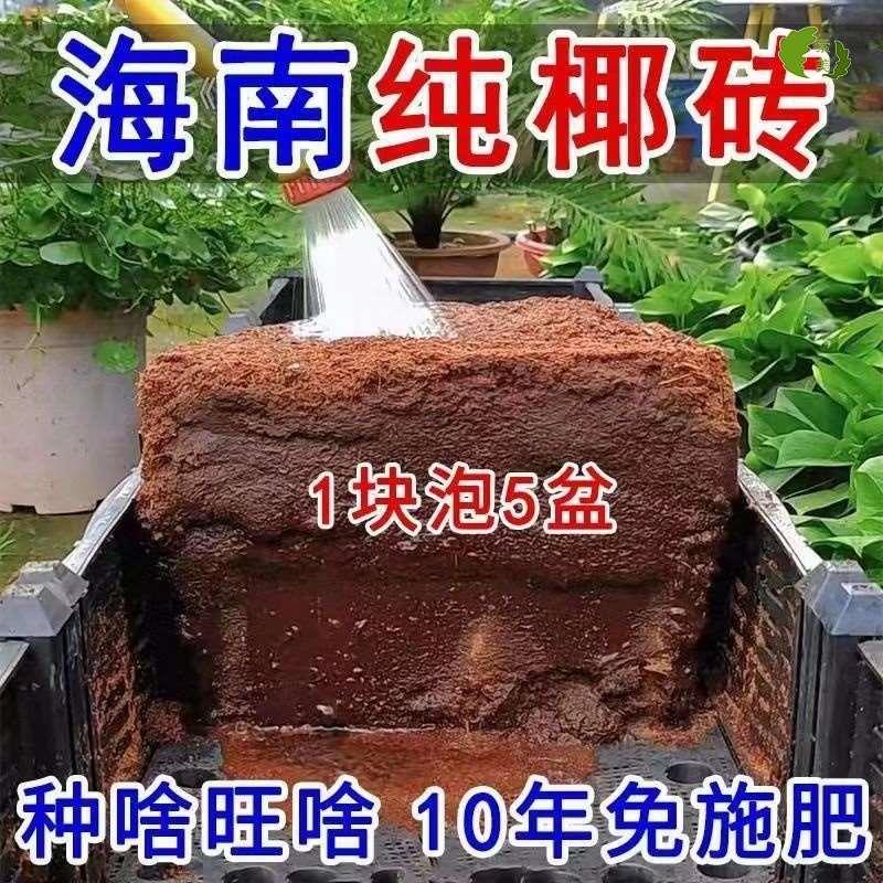椰砖营养土种菜通用型脱盐椰糠大块耶砖土乌龟冬眠养花土壤种植土