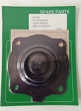 Pretty Goyen K2034 RCAC20T4012 RCAC20FS4 膜片维修包RCAC20T4