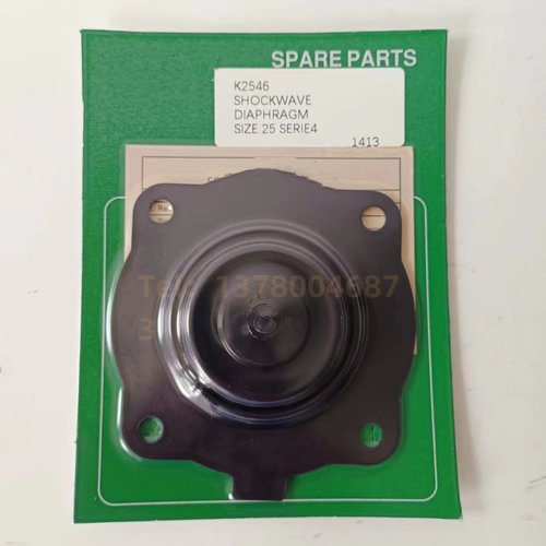 Pretty Goyen K2034 RCAC20T4012 RCAC20FS4 膜片维修包RCAC20T4