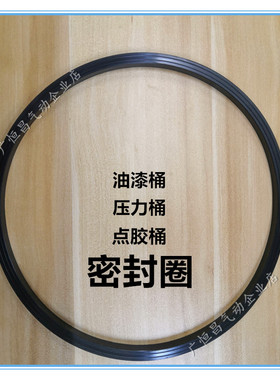 宝丽压力桶密封圈RT-10 20 40 60A RT2E耐油漆耐腐蚀喷胶桶胶水桶