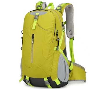 艾王40L户外运动登山包出门旅行旅游双肩包时尚 休闲背包2025年新