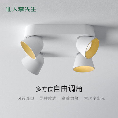 仙人掌先生四头可调角吸顶灯