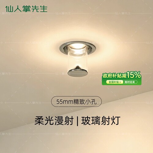 仙人掌先生55mm小孔轻奢玻璃射灯