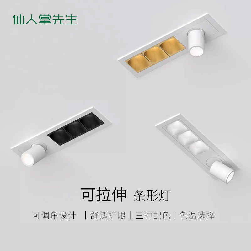仙人掌先生可调角格栅条形灯