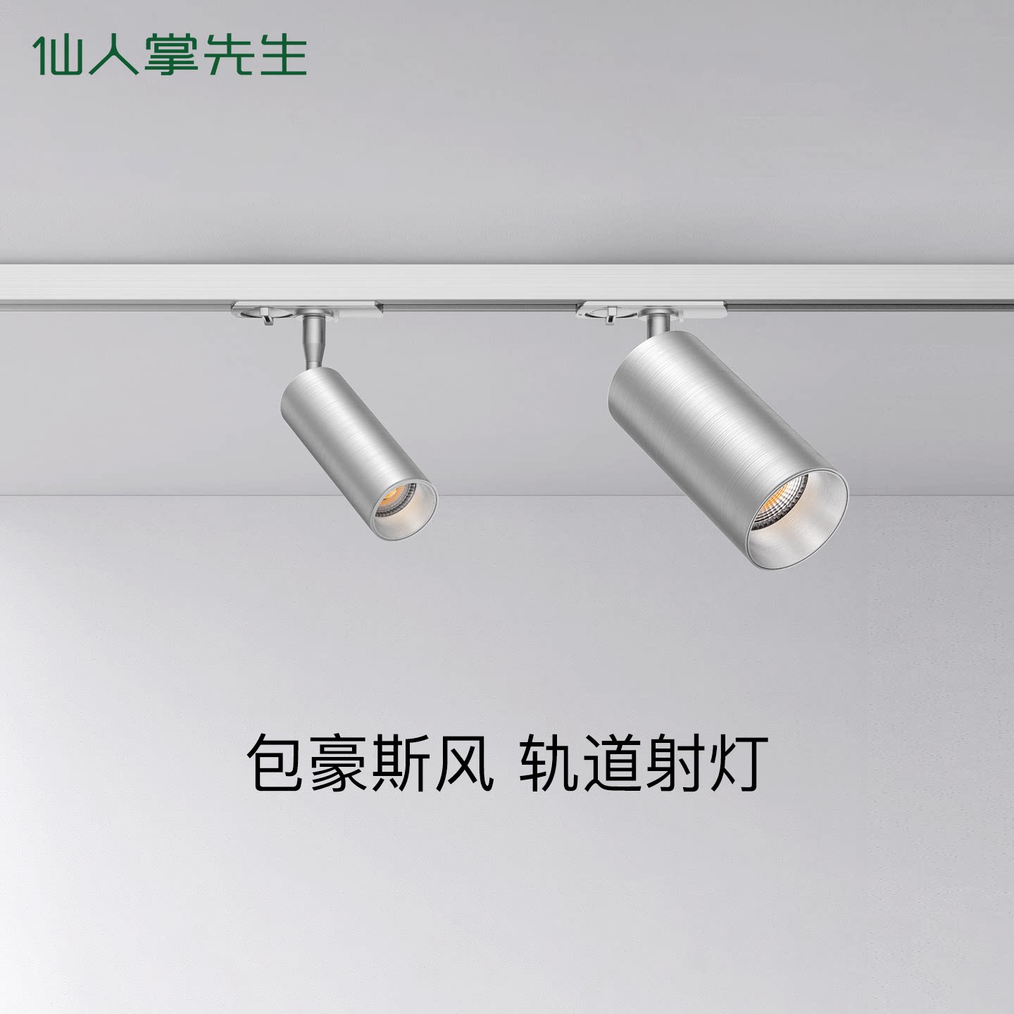 仙人掌先生明装轨道射灯深防眩