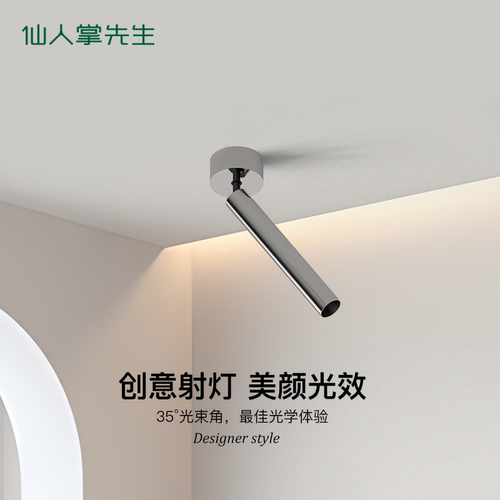 仙人掌先生设计师包豪斯长筒射灯