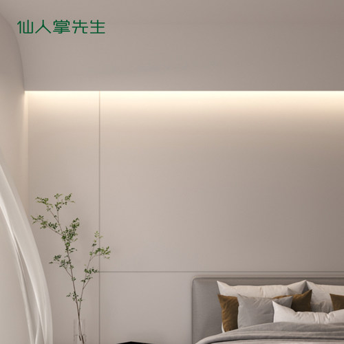 仙人掌先生回光隐形洗墙线性灯