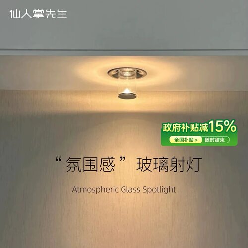 仙人掌先生轻奢氛围感意式射灯