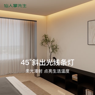 仙人掌先生照明2835灯带led线性灯吊顶窗帘盒洗墙悬浮顶反光槽