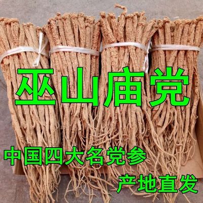 巫山庙党参农家特产干货野生党参