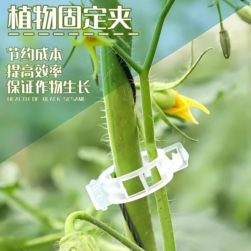 爬藤固定器爬墙上绿萝固定器