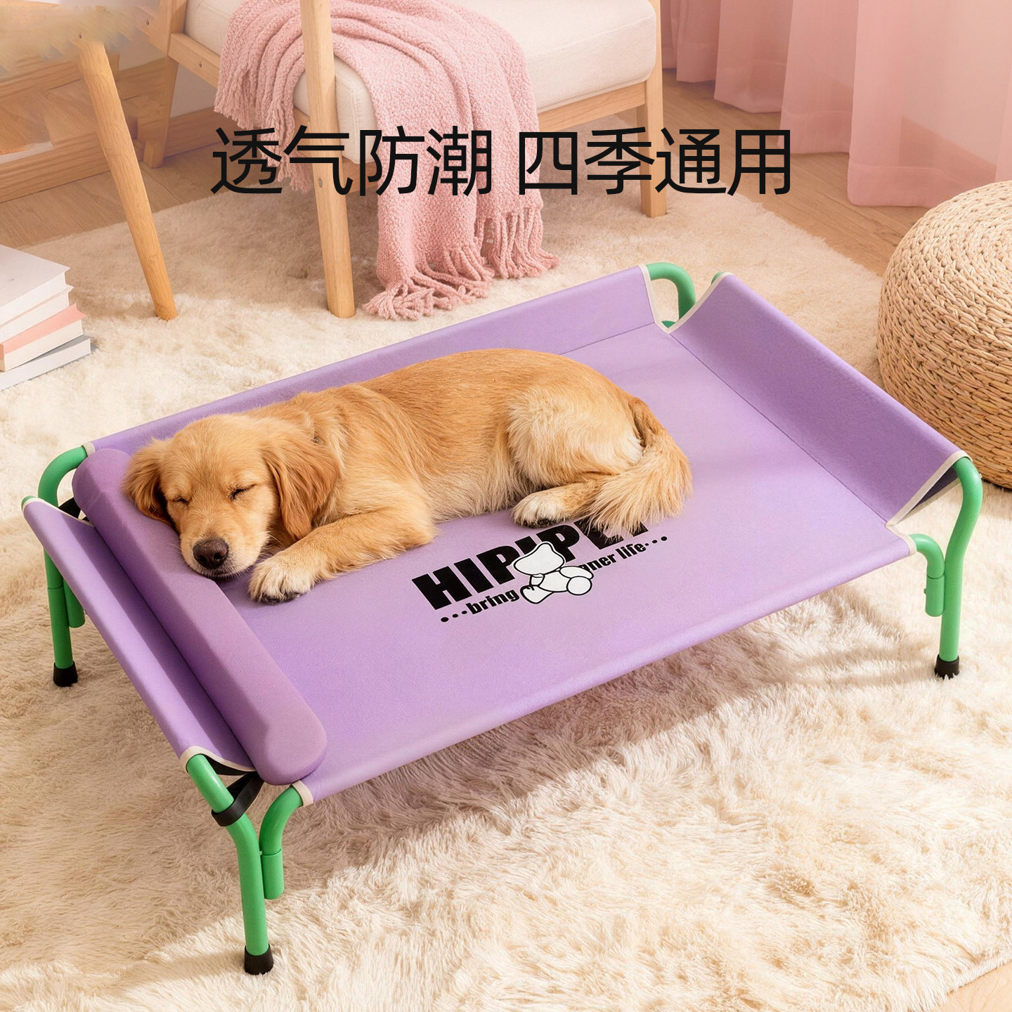 沙滩派对大狗行军床拉布拉多大型犬夏天睡觉防潮透气狗窝宠物狗床