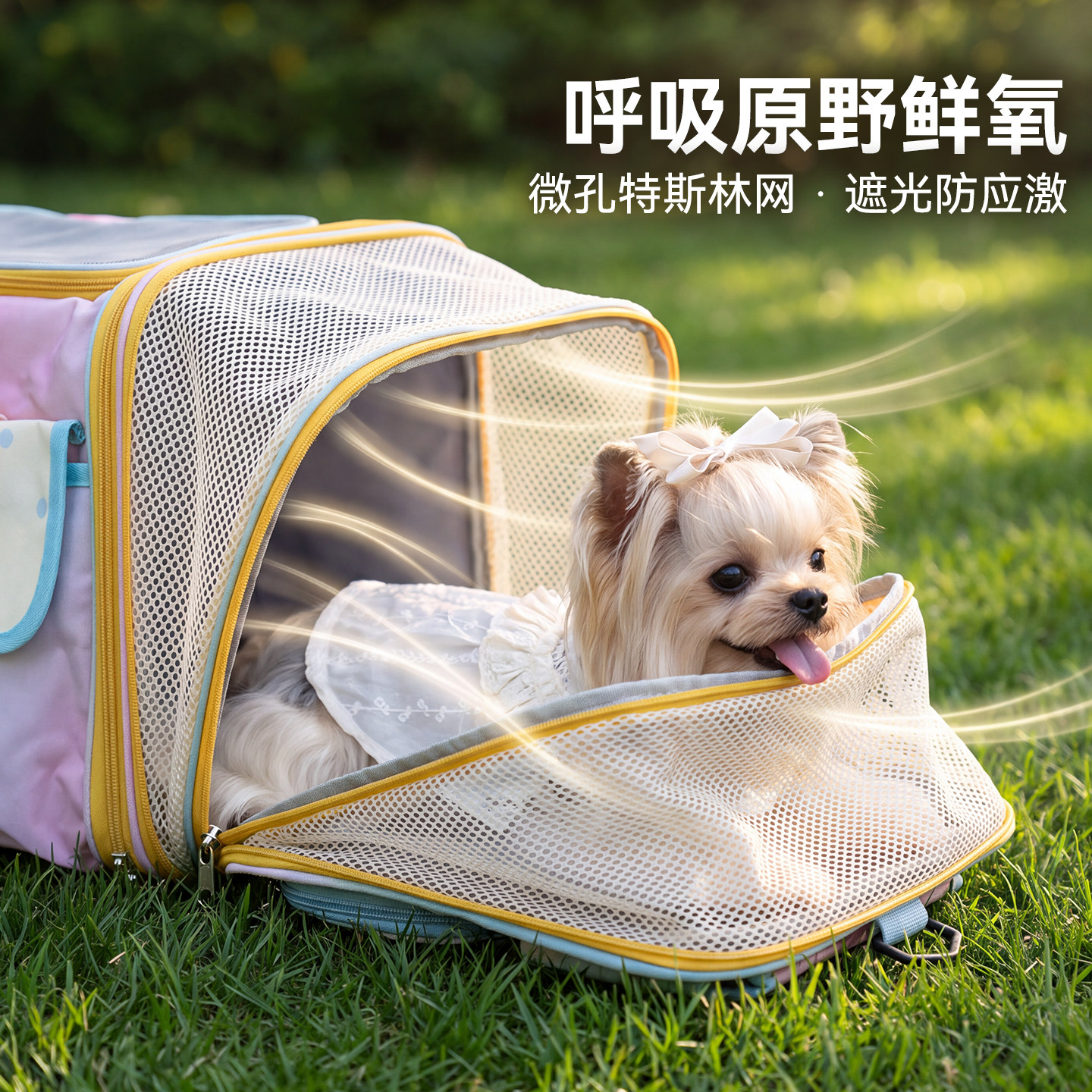 宠物折叠透气外出包便携外带小型犬狗狗携带包大容量斜挎外出猫包