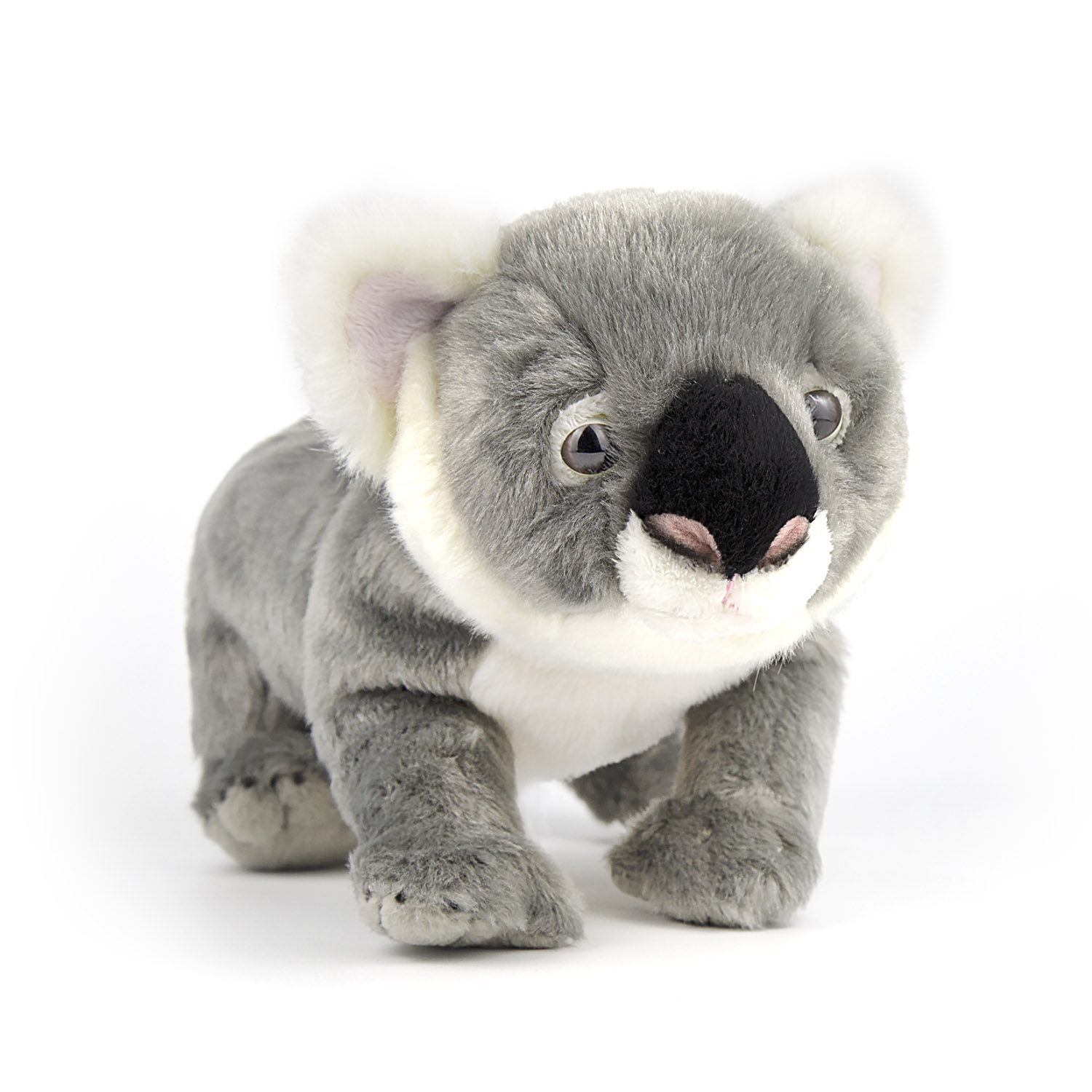 国家地理仿真野生动物毛绒玩具玩偶宝宝幼崽考拉baby公仔树袋熊