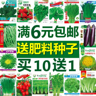 秋冬蔬菜种子四季播种阳台农家盆栽生菜香菜草莓番茄辣椒籽种包邮