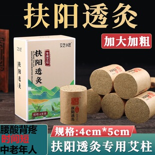 艾艺小匠扶阳透灸加粗6粒艾灸柱男性亏虚腰酸背痛无精打采时间短8