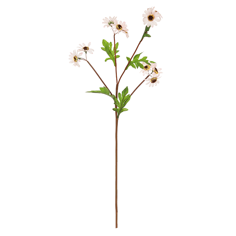 乡村风复古向日葵民宿干花小雏菊