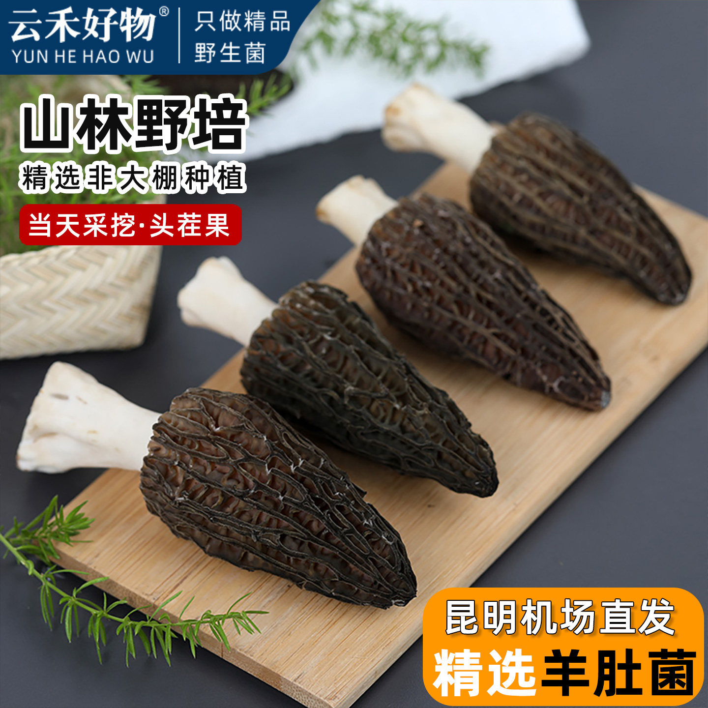 云禾好物 | 羊肚菌新鲜云南林下仿野生菌菇鲜品牛肚菌蘑菇礼盒装,水产肉类/新鲜蔬果/熟食,新鲜松茸/菌菇,淘宝优惠券,粉丝福利购,淘宝优惠卷