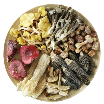高端菌汤包（野生红菇/羊肚菌）