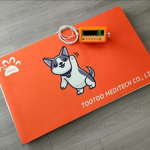 宠物医院专用嵌入式地秤准确度高不锈钢材质电子秤