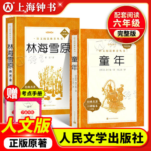 童年高尔基六年级必读课外书