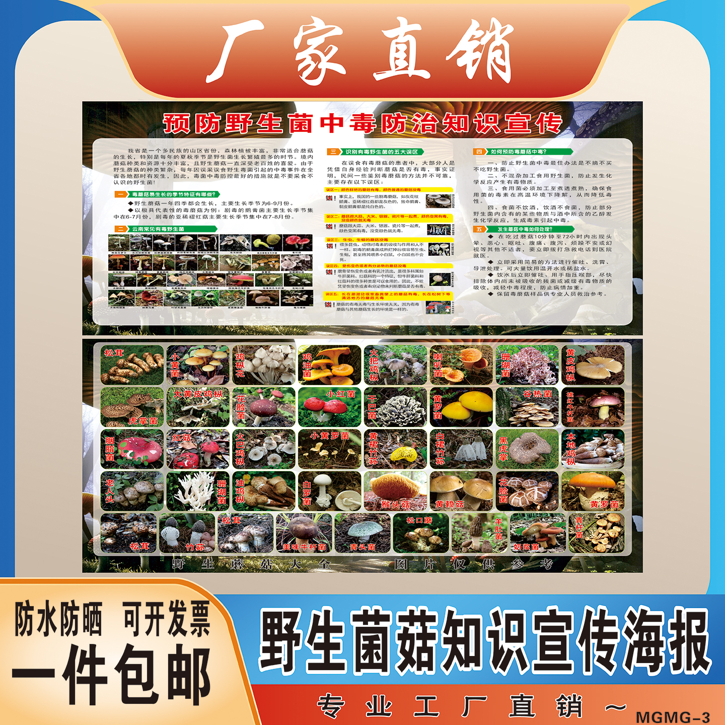 野生毒菌毒蘑菇严防野生菌中毒禁止采食用毒蘑菇标示警示牌海报印