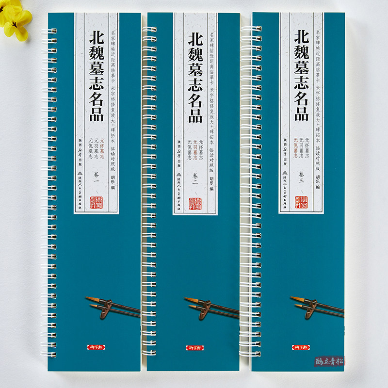 北魏墓志铭品元倪墓志元羽墓志元怀墓志名家碑帖近距离临摹字卡米字格修复放大版碑拓本楷书毛笔书法字帖初学者成人学生临摹字帖