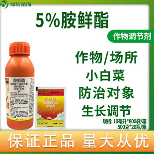 广农金收5%胺鲜酯小白菜蔬菜促进生长植物生长调节剂