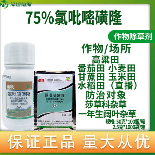 巨禾俏秋氯吡嘧磺隆75%水稻玉米