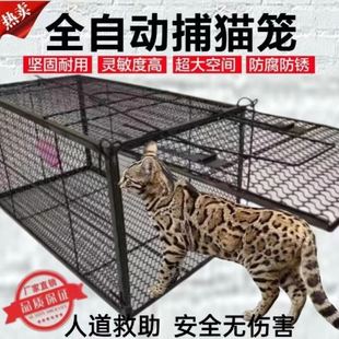 全自动捉猫器逮猫夹子户外耗子老鼠笼人道救助捕猫笼抓猫神器家用