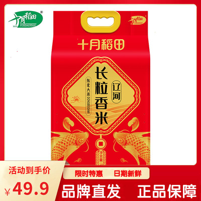 十月稻田辽河长粒香米
